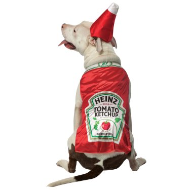 Food Costumes For Dogs