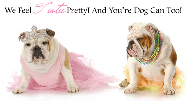 Tutus For Dogs