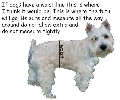 dog tutu size chart