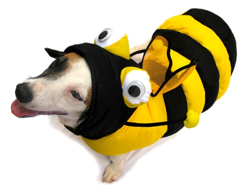 3D Bumble Bee Dog Costume