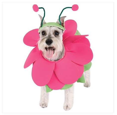 Fiona Flower Dog Halloween Costume