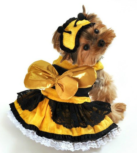 Bumble Bee Dress Dog Costume