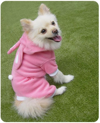 Pink or Blue Bunny Easter Dog Costumes