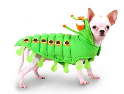 Fuzzy Caterpillar Dog Costume
