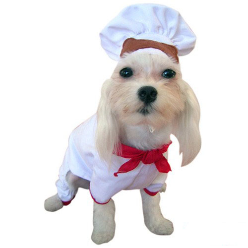 White and Red Chef Dog Costume