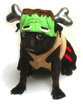 Frankenstein Dog Costume