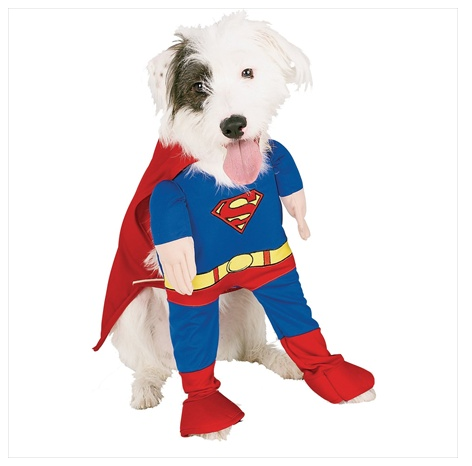 Funny Superman Dog Halloween Costume