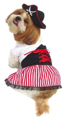 Ahoy Girly! Pirate Dog Costume