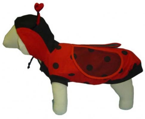 LadyBug Dog Costume With Wings