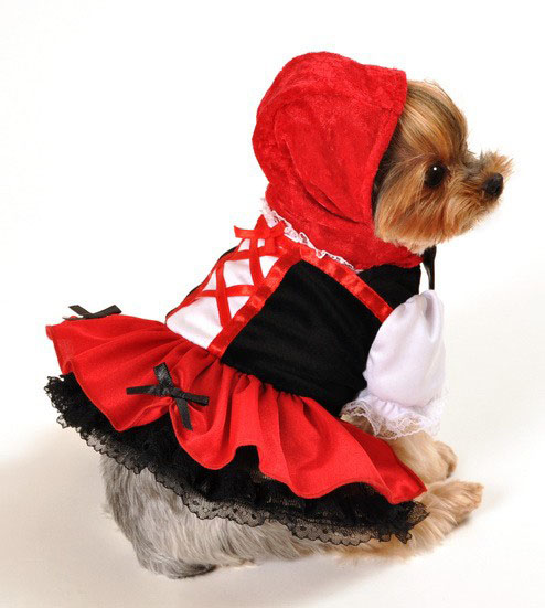 Little Red Riding Hood Costume, Halloween Costume For Dogs