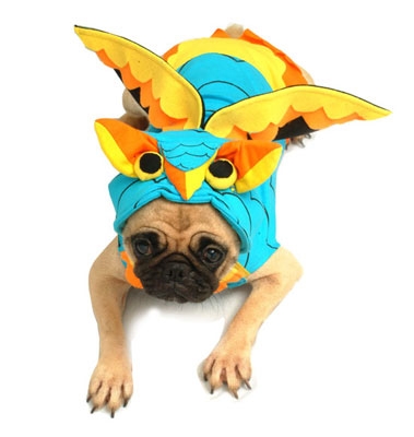 Owl Costume For Dogs