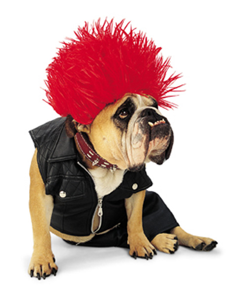 Punk Rock Dog Costume