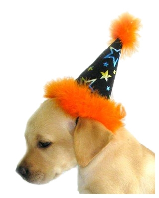 Star Beautiful Dog Costume Party Hat