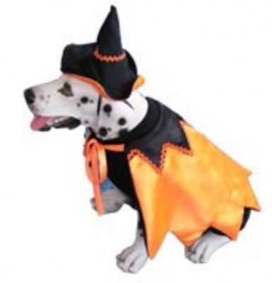 Isador Witch Costume For Dogs