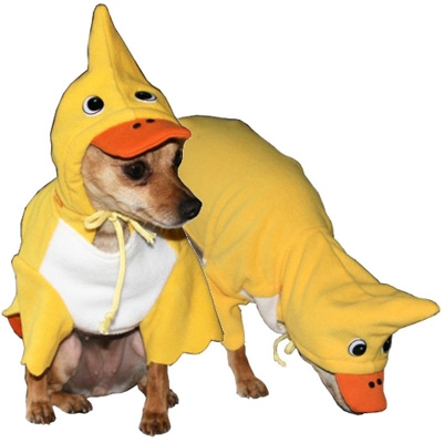 Yellow Duck Dog Costume