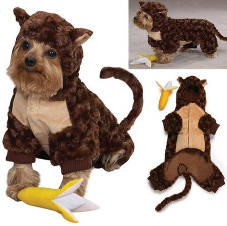 Adorable Monkey Dog Costume