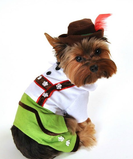 Beer Boy Halloween Dog Costume