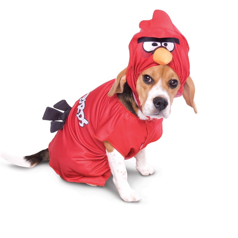 Angry Birds Halloween Dog Costume