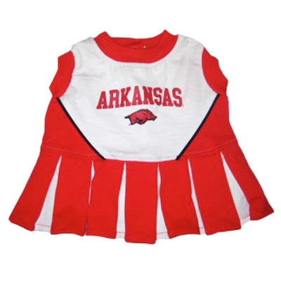 Arkansas Dog Cheerleader Costume