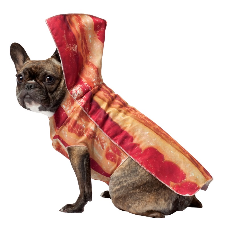 bacon-halloween-pet-dog-costumes.jpg