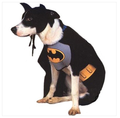 Batman Costume For Dogs