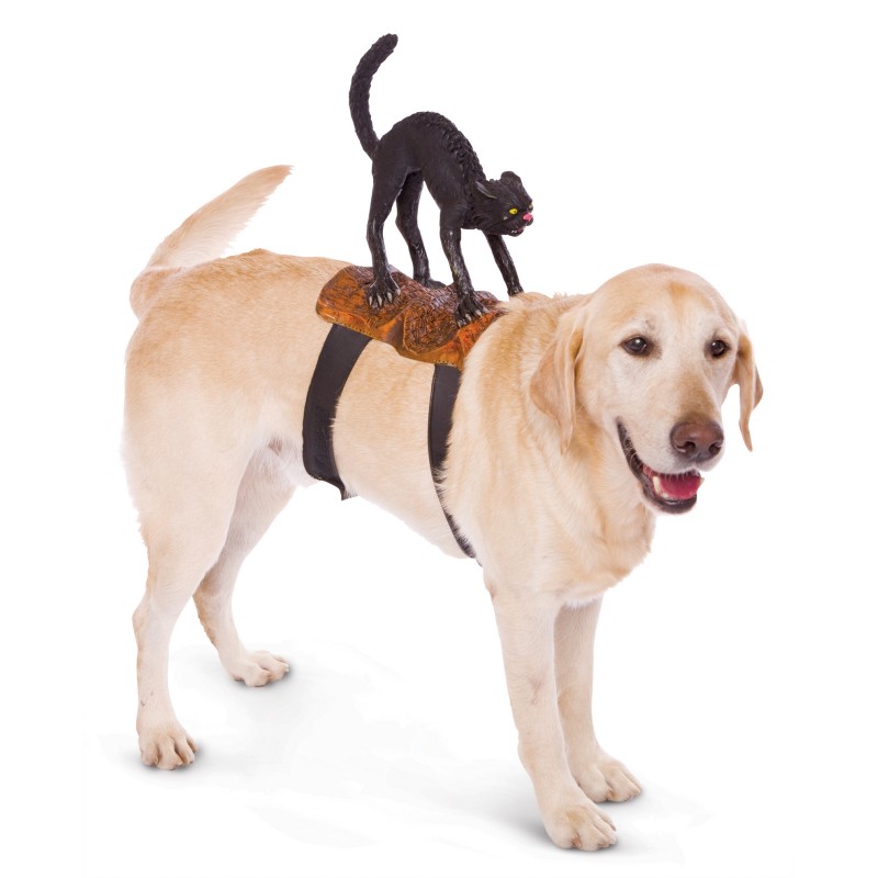 Dog rider clearance costumes