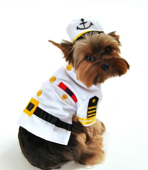 White Captain Halloween Dog Costume