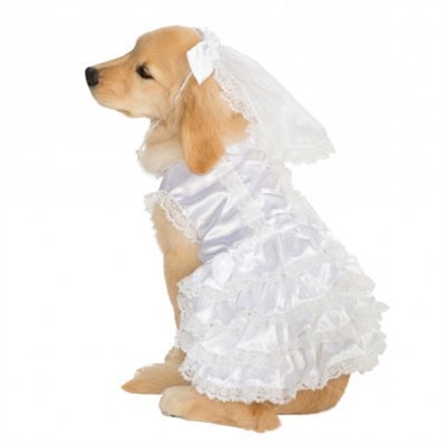 Bride Costume For Dogs
