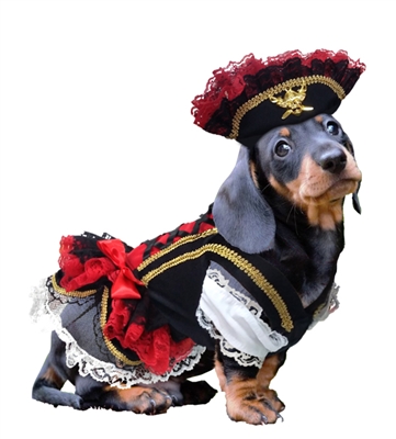 Ole' Buck Pirate Halloween Dog Costume