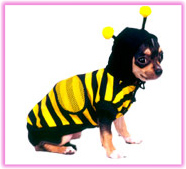 Going Buzzy Bumble Bee Dog Costume