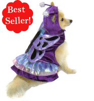 Metallic Butterfly Dog Costume