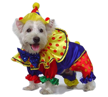 Festive Clown Costume For Dogs