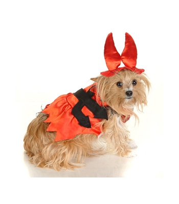 Miss Devil Dog Costume