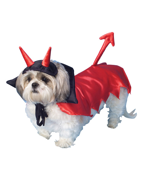 Red Devil Dog Costume