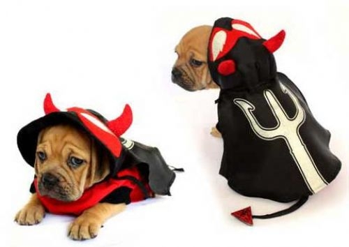 Devil Pitch Fork Dog Costume