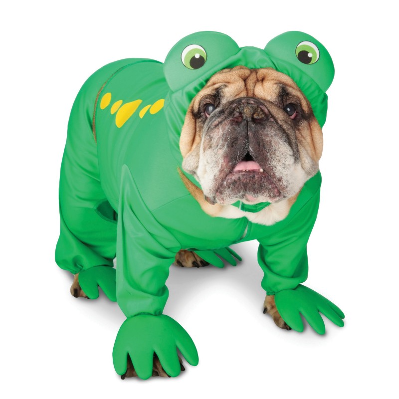 Frog Costume For Dogs