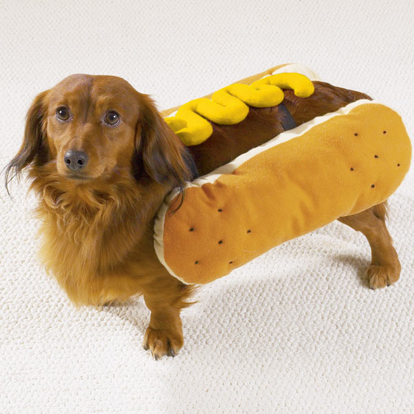 Hot Dog With Mustard Dog Costume