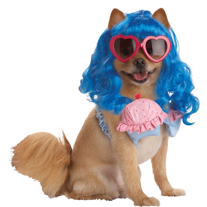 Katy Perry Inspired Halloween Dog Costume