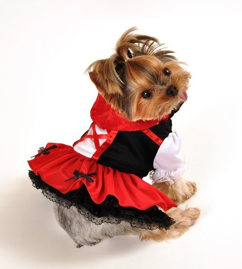 Little Red Riding Hood Dog Costume