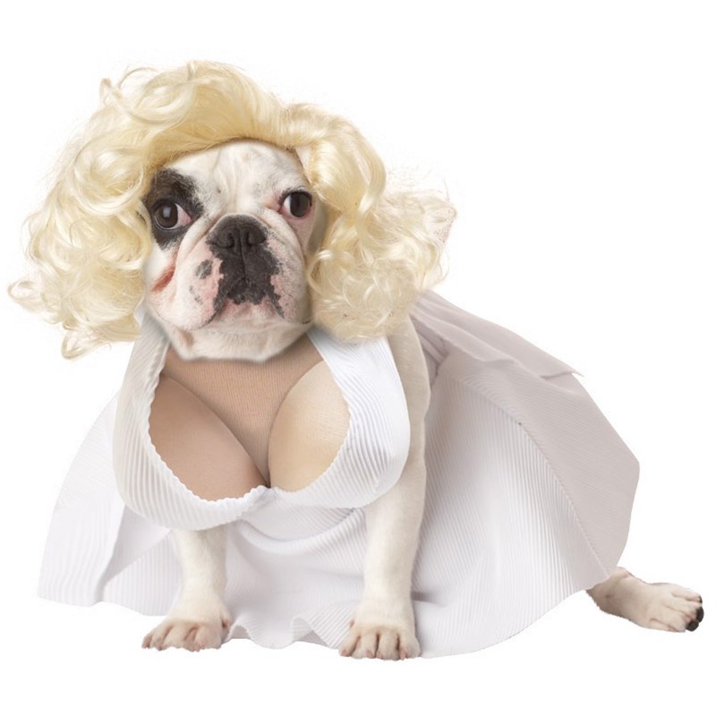 Marilyn Monroe Inspired Halloween Dog Costume