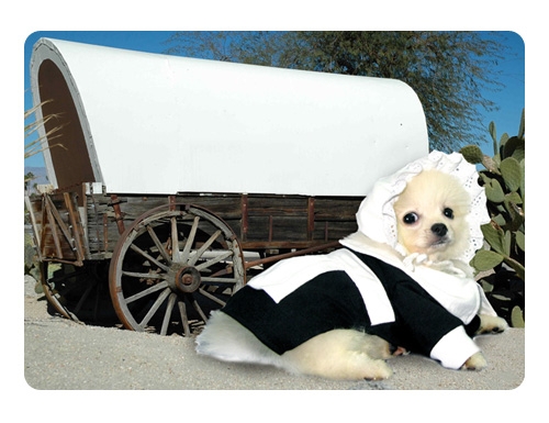 Pilgrim Girl Dog Costume