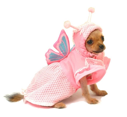 Pink Butterfly Dog Costume
