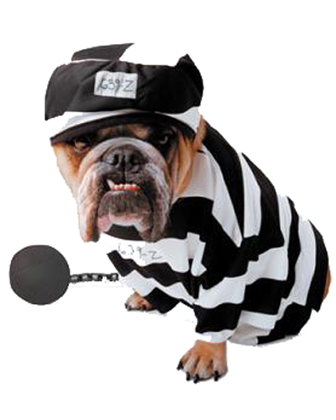 Prisoner Dog Costume