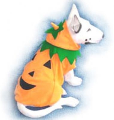 Simply Pumpkin Dog Costume