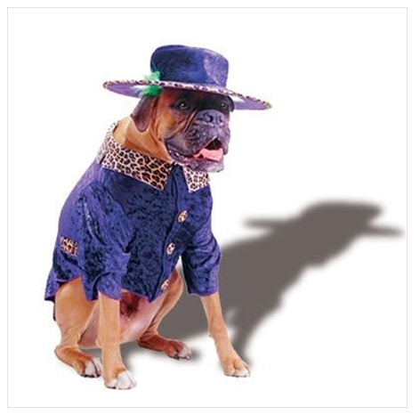 Pimp Doggie - Dog Halloween Costume