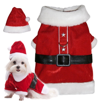 Santa Claus Christmas Dog Costume