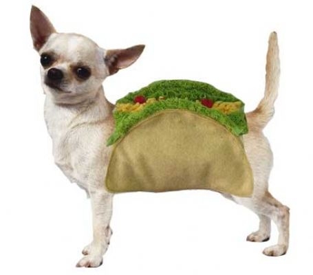 Yo Quiero Taco Dog Costume