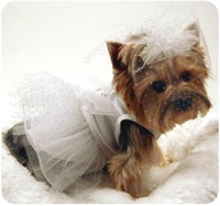 White Wedding Dress Costumes For Dogs