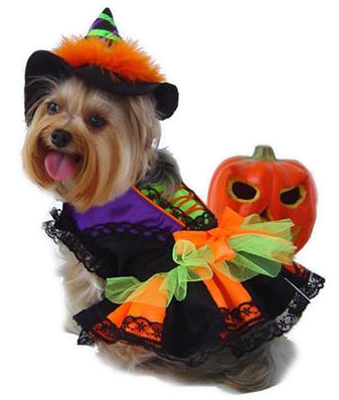 Gwendolyn Witch Dog Costume Tutu Dress